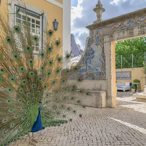 Hotel Solar Do Castelo - Heritage Collection - Alfama, Lissabon